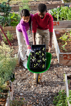 children pushing wheelbarrow
