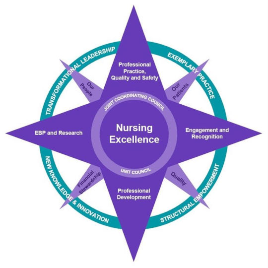 Nursing Excellence Chart