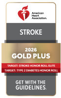 Stroke - Gold Pluys