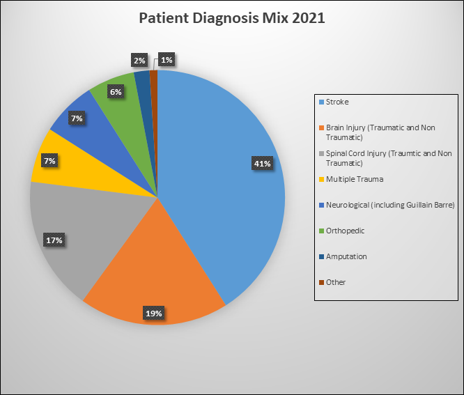 Patient Diagnosis Mix Pie Chart