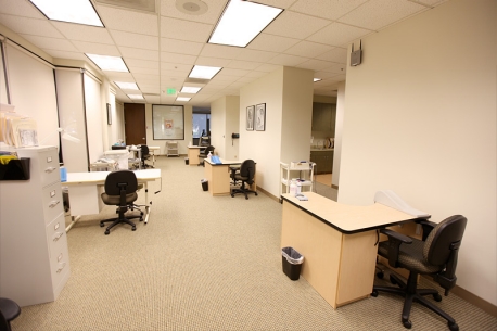 Muir best sale task chair