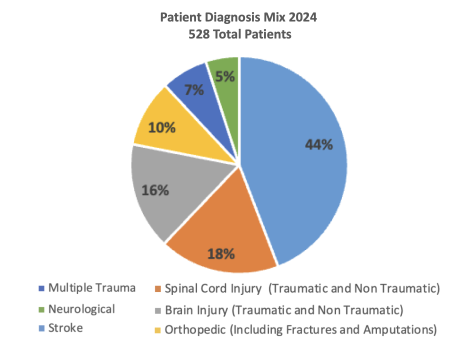 Patient Diagnosis Mix Pie Chart Patient Diagnosis Mix Pie Chart